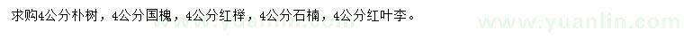 求購(gòu)4公分樸樹(shù)、國(guó)槐、紅櫸等