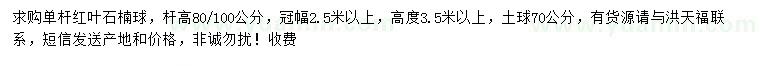 求購(gòu)高80、100公分單桿紅葉石楠球