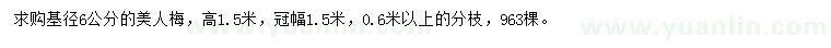 求購(gòu)6公分美人梅