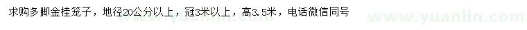 求購地徑20公分以上金桂