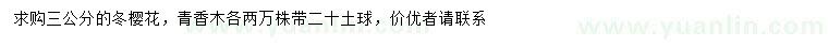 求購3公分冬櫻花、清香木