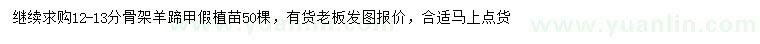 求購(gòu)12-13公分羊蹄甲