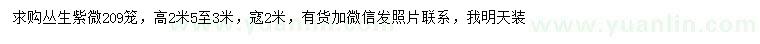 求購(gòu)高2.5-3米叢生紫薇