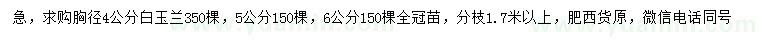 求購(gòu)胸徑4、5、6公分白玉蘭