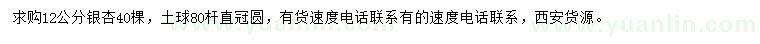 求購12公分銀杏