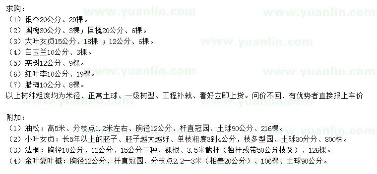 求購銀杏、國槐、大葉女貞等