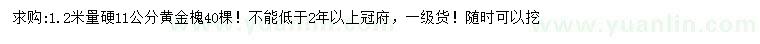 求購1.2米量11公分黃金槐