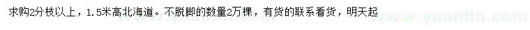 求購高1.5米北海道黃楊