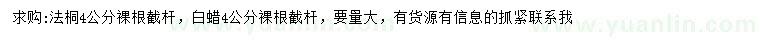求購4公分法桐、白蠟