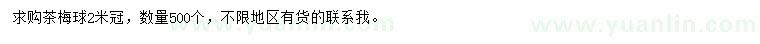 求購2米冠茶梅球
