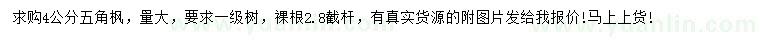 求購4公分五角楓