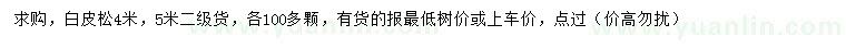求購4、5米白皮松