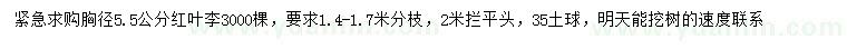 求購(gòu)胸徑5.5公分紅葉李