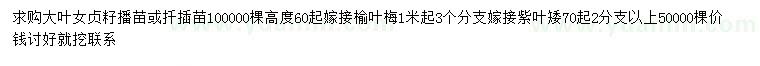 求購大葉女貞、榆葉梅、紫葉矮櫻