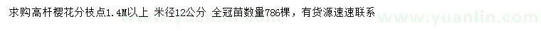 求購米徑12公分櫻花