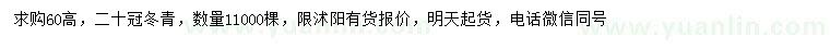 求購高60公分冬青