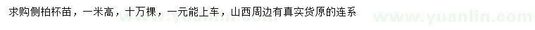 求購高1米側(cè)柏