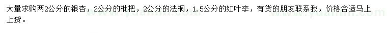 求購銀杏、枇杷、法桐等