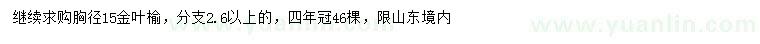 求購胸徑15公分金葉榆