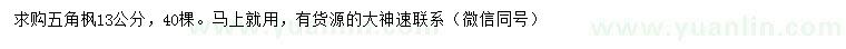 求購13公分五角楓