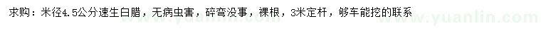 求購米徑4.5公分速生白蠟