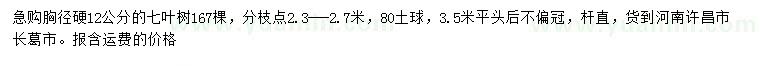 求購胸徑12公分七葉樹