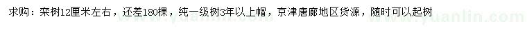 求購12公分左右欒樹