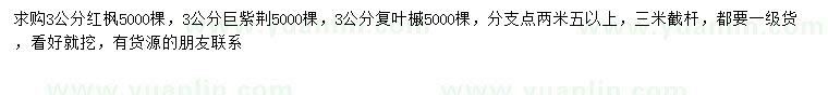 求購紅楓、巨紫荊、復葉槭