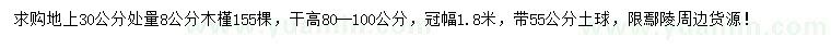 求購30量8公分木槿