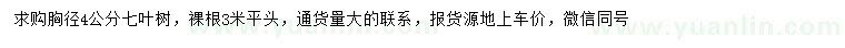 求購(gòu)胸徑4公分七葉樹(shù)