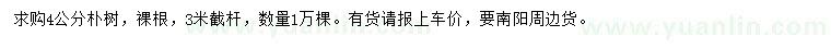 求購4公分樸樹