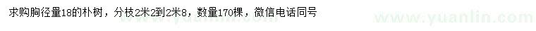 求購胸徑18公分樸樹