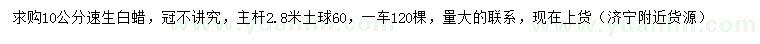 求購10公分速生白蠟