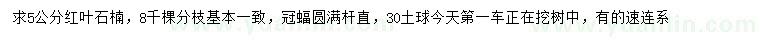 求購(gòu)5公分紅葉石楠