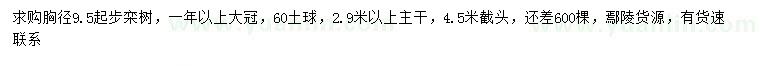 求購胸徑9.5公分以上欒樹