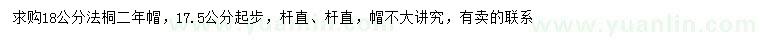 求購17.5公分以上法桐