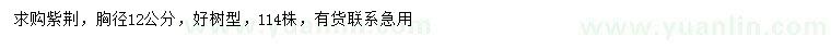 求購胸徑12公分紫荊