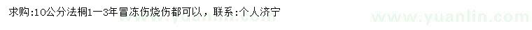 求購10公分法桐