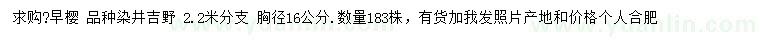 求購胸徑16公分早櫻、品種染井吉野