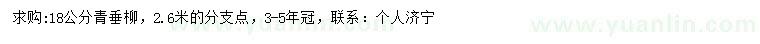 求購18公分青垂柳