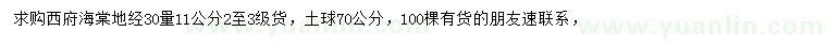 求購(gòu)地徑30量11公分西府海棠