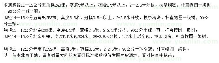 求購(gòu)五角楓、北欒、元寶楓