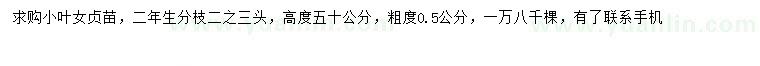 求購高50公分小葉女貞