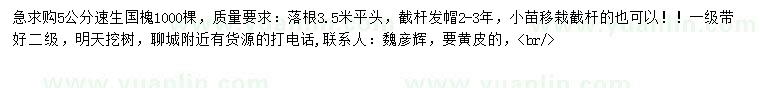 求購5公分速生國槐