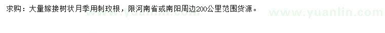 求購刺玫根
