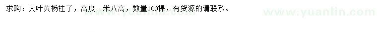 求購高1.8米大葉黃楊柱子