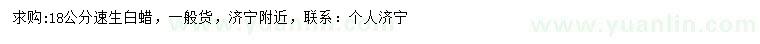求購18公分速生白蠟