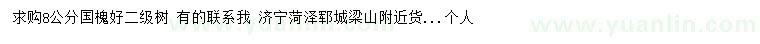 求購8公分國槐