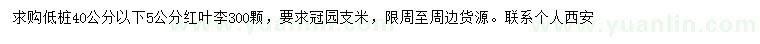 求購(gòu)5公分紅葉李