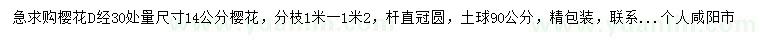 求購(gòu)14公分櫻花